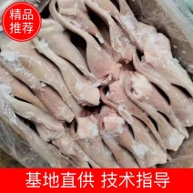 鲜冻猪耳朵，开袋即食猪耳朵，跑地摊江湖产一手货源价格美丽