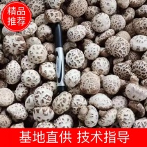 花菇，大花菇，小花菇，现货供应，一手货源，价格美丽