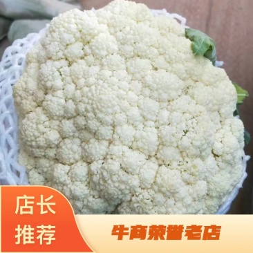 河北本地散花颜色乳白青梗小米中米产地直销