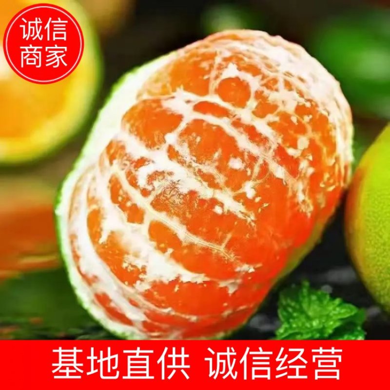 直供柑橘【蜜橘】叶橘直供皮薄肉嫩口味甜货美果大价格优