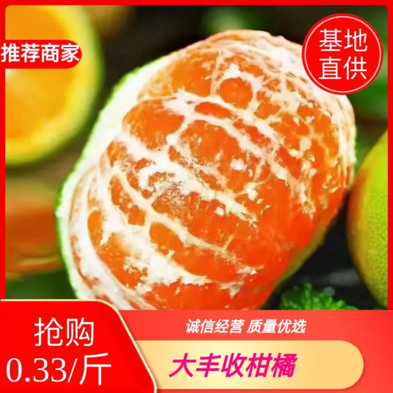 直供柑橘【蜜橘】叶橘直供皮薄肉嫩口味甜货美果大价格优