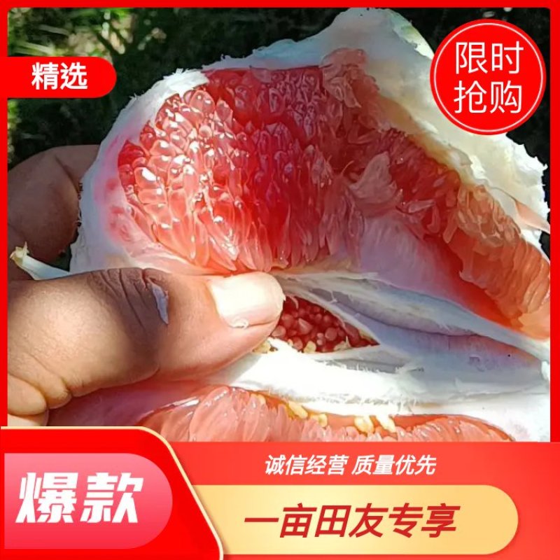 [荐】精品平和红心蜜柚，大量上市，欢迎客商来选购