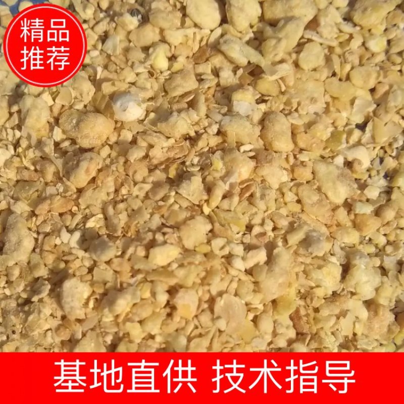 全国各大品牌豆柏货源充足全部一手货源物美价廉，量大从优
