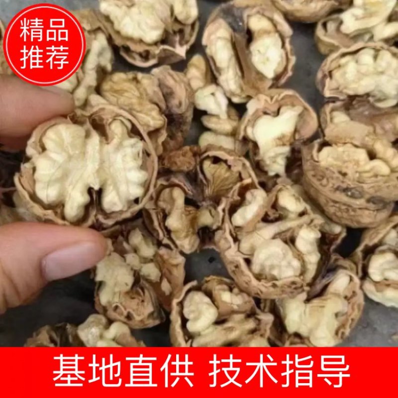 云南麻子核桃新货不是方果，大量现货供应，价格美丽