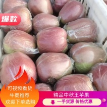 中秋王苹果货源充足！批发零售均可！口感嘎嘎甜