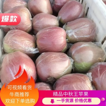 中秋王苹果货源充足！批发零售均可！口感嘎嘎甜