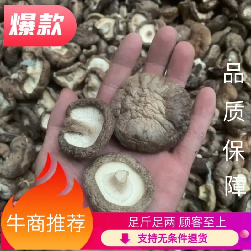 《包邮》精品2021新货香菇干货一手货源产地直供