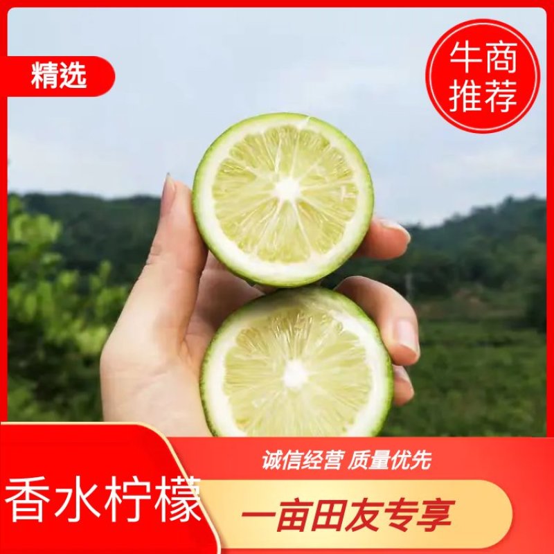 香水柠檬5斤起包邮，果园直供，全国包邮，每天现摘现发