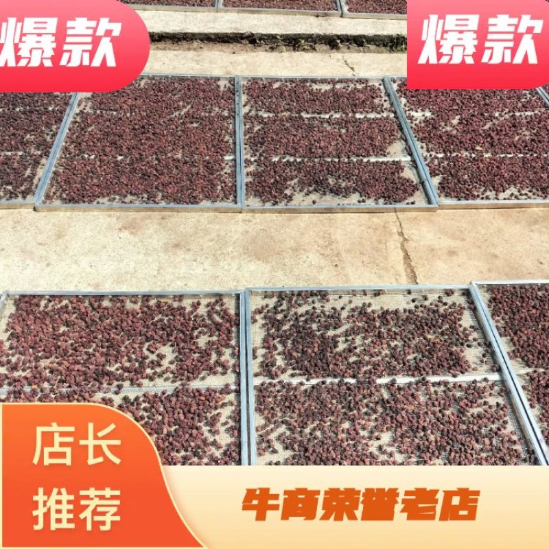 广东野生桃金娘，棯子干，大货供应，欢迎广大客商合作赢