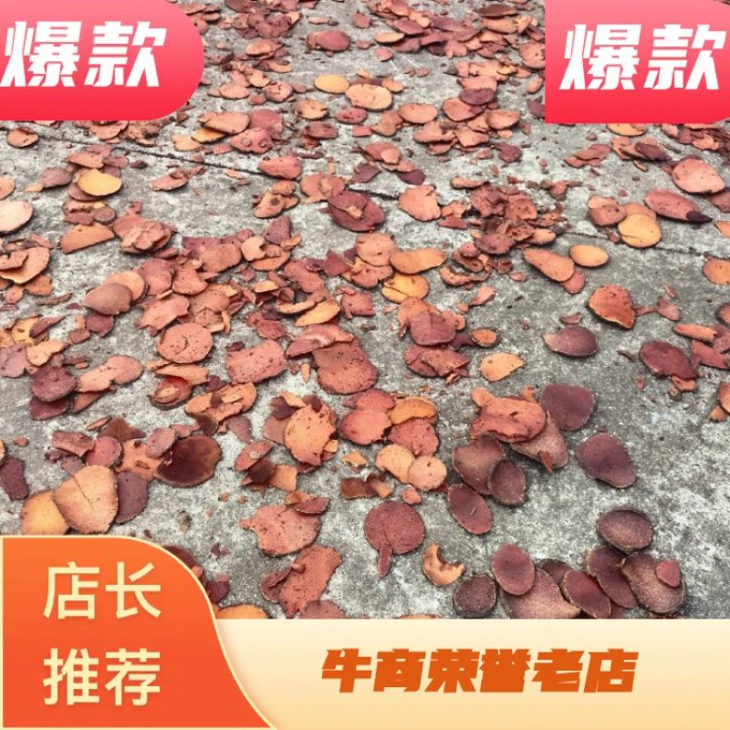 广东野生红药子、薯莨，长期大货供应，欢迎广大客商合作共赢