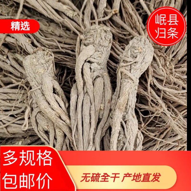 甘肃岷县当归原色原味产地批发量大从优欢迎各位老板前来选购