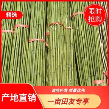 火龙果撑，圣女果撑，冬瓜竹，产地直供，欢迎联系！