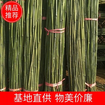 湘南竹木两米二95~100根菜架竹，火龙果撑现货批发