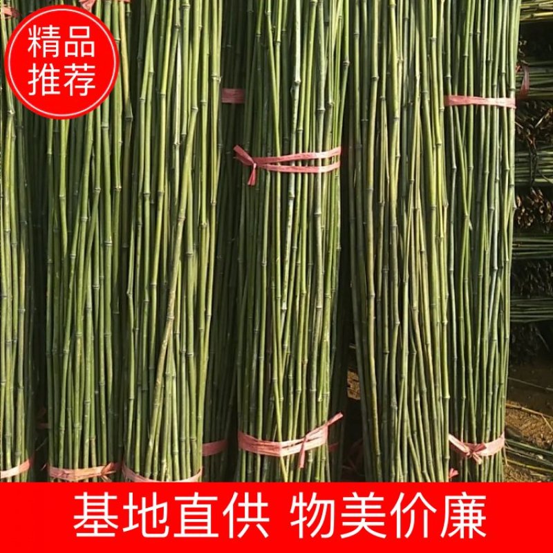 湘南竹木两米二95~100根菜架竹，火龙果撑现货批发