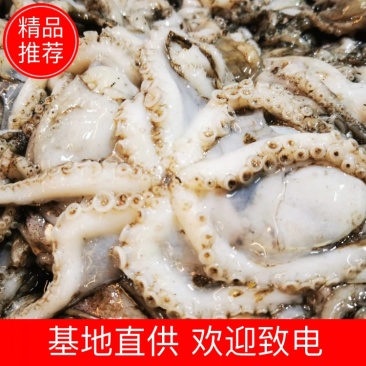 舟山本地原汁八爪鱼，不泡水不泡药，原汁原味，下船直接打包