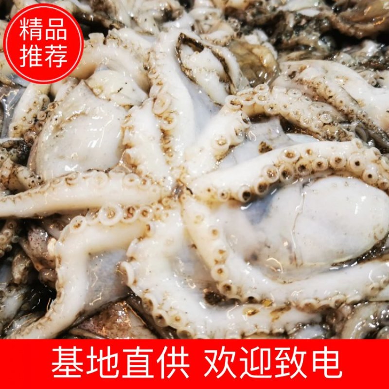 舟山本地原汁八爪鱼，不泡水不泡药，原汁原味，下船直接打包
