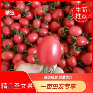 千禧圣女果对接各大电商，商超支持一件代发