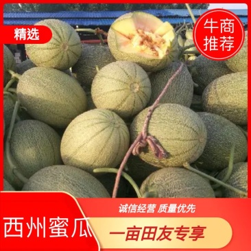 晓蜜25号，支持一件代发，对接各大电商微商团购
