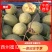 晓蜜25号，支持一件代发，对接各大电商微商团购