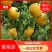桃树苗黄桃，黄金蜜0/7锦绣黄桃黄金冠突围金风桃