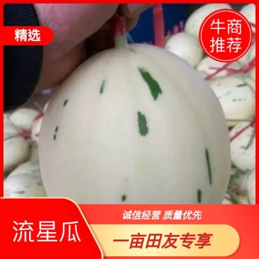 流星瓜，欢迎新老客户前来选购，量大从优。