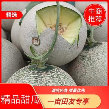 翠蜜宝玫胧蜜鲁后甜甜瓜1.5斤以上精品预售
