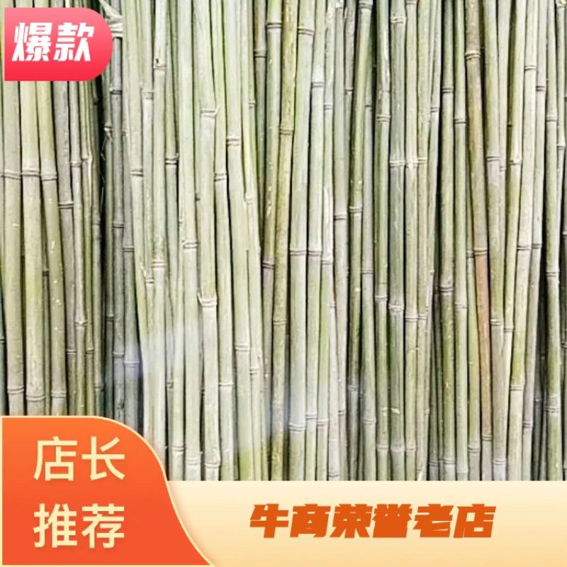 四川广安基地直供精品白夹竹竹，竹子西瓜棚，蔬菜专用，大量供应