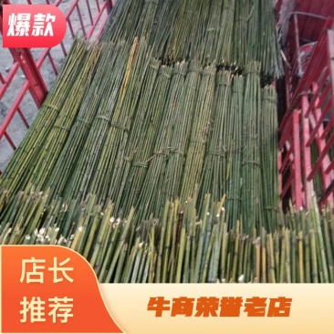 四川广安基地直供精品白夹竹竹，竹子西瓜棚，蔬菜专用，大量供应