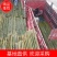 四川广安基地直供精品白夹竹竹，竹子西瓜棚，蔬菜专用，大量供应