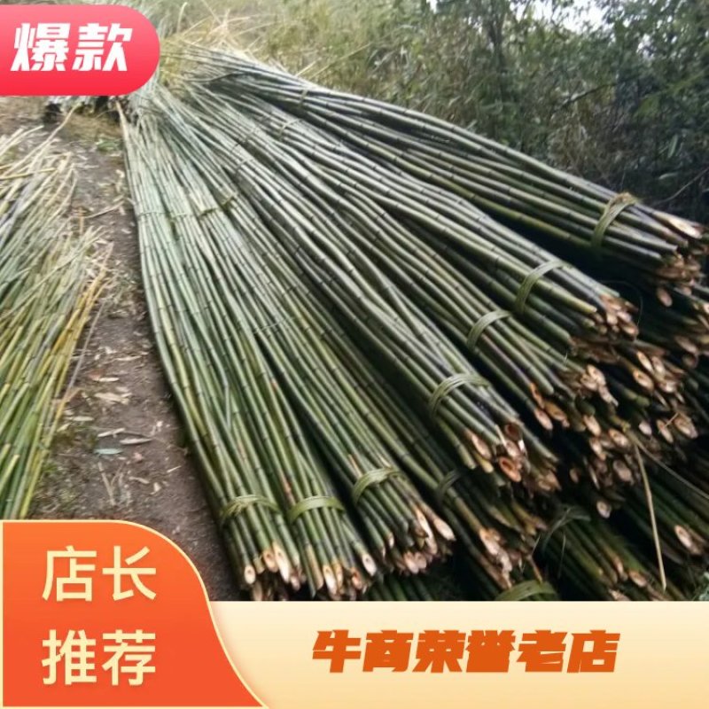 四川广安基地直供精品竹子大棚用竹菜架竹蔬菜专用，欢迎采购