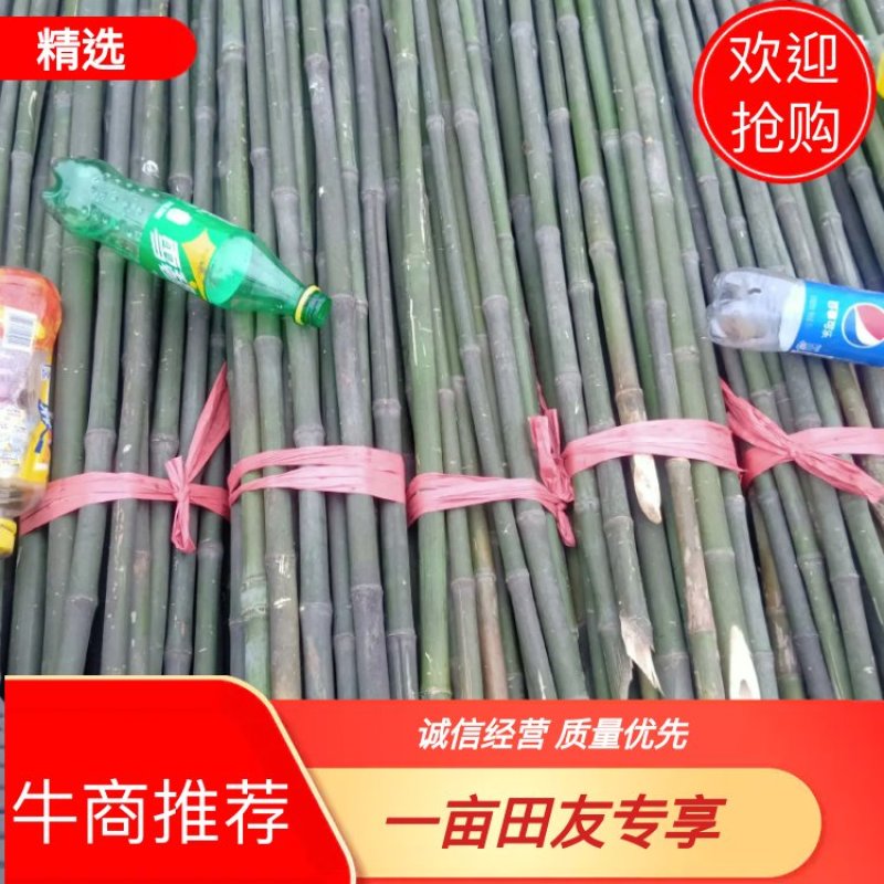 四川广安小竹竿有需要请联系，豆角，西红柿，茄子，辣椒搭架用