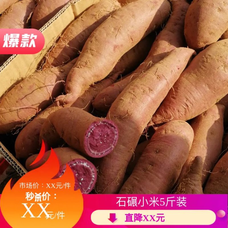 山东紫薯紫罗兰电商品质万亩基地直销一手货源