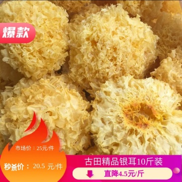 古田特产银耳2022新货干货银耳白木耳雪耳批发