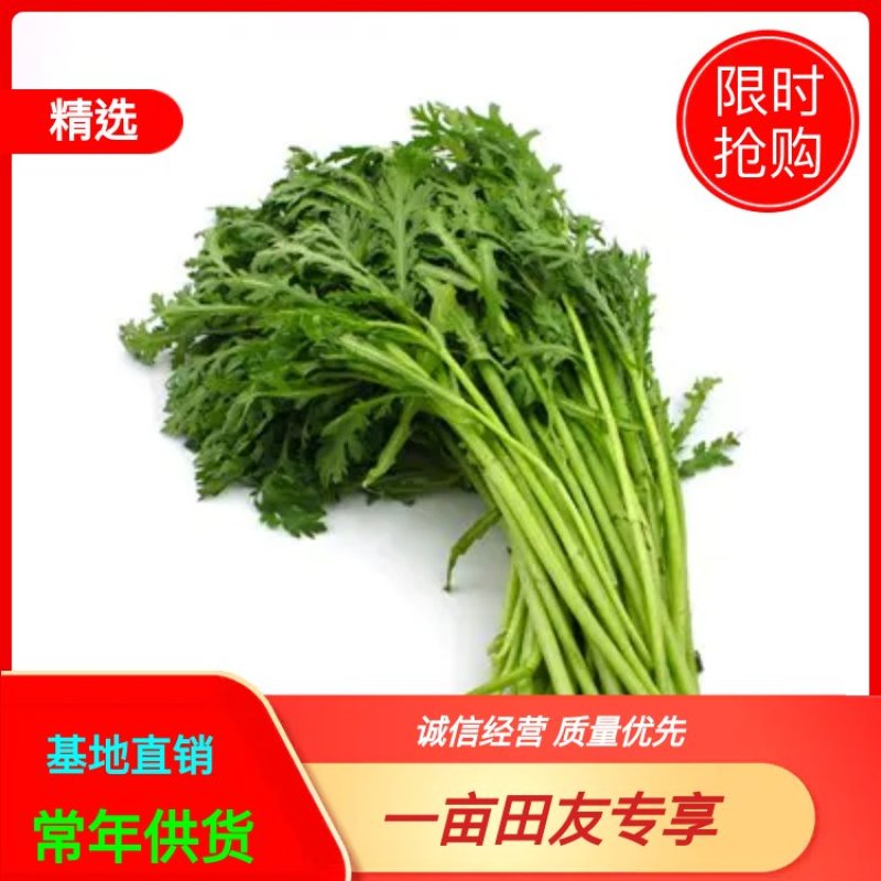 《上品》茼蒿大量上市了，价格美丽，一手货源，基地直发。