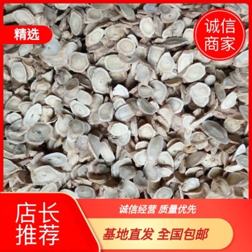 甘肃黄芪瓜子片规格齐全产地直供批发一手货源
