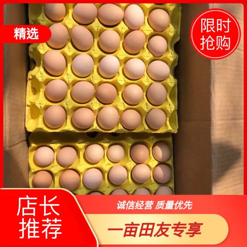 蛋黄大，双色12以上，蒸煮煎炒都为金黄色，口感非常好！！