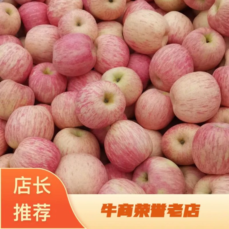 《实力》烟台红富士苹果大量上市，产地一手货源精品放心水果
