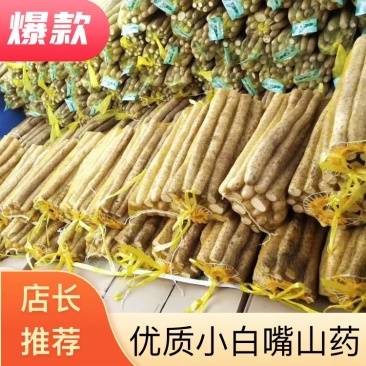 山药，优质小白嘴山药，产地直发，量大从优，诚信经营