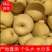 陕西乾县酥梨200~250g光果基地直供量大从优