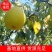 陕西乾县长把梨洋梨酸甜可口，基地直供，货源充足