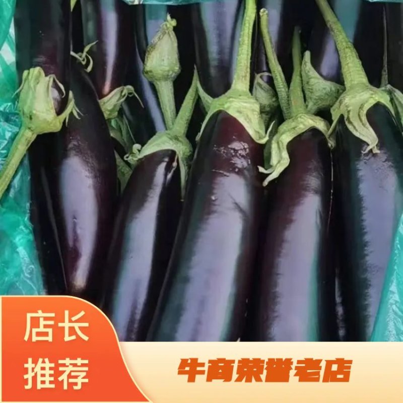 山东精品黑茄，质量优等，无坏货，全国发货，个头均匀