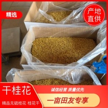 干桂花大货，一手货源，产地批发量大重优，大量上新