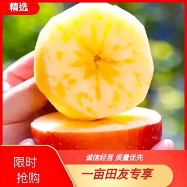大凉山冰糖心丑苹果产地批发甜脆多吃支持电商代发