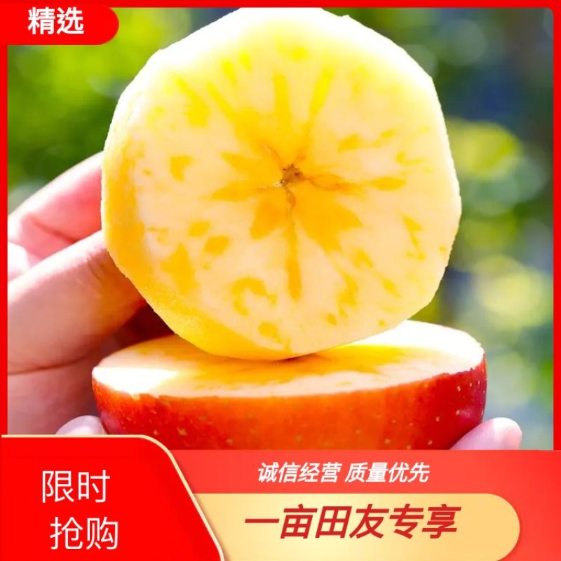 大凉山冰糖心丑苹果产地批发甜脆多吃支持电商代发