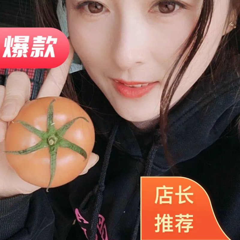 【优质】山东西红柿货源充足，质量保证，量大从优，来电优惠