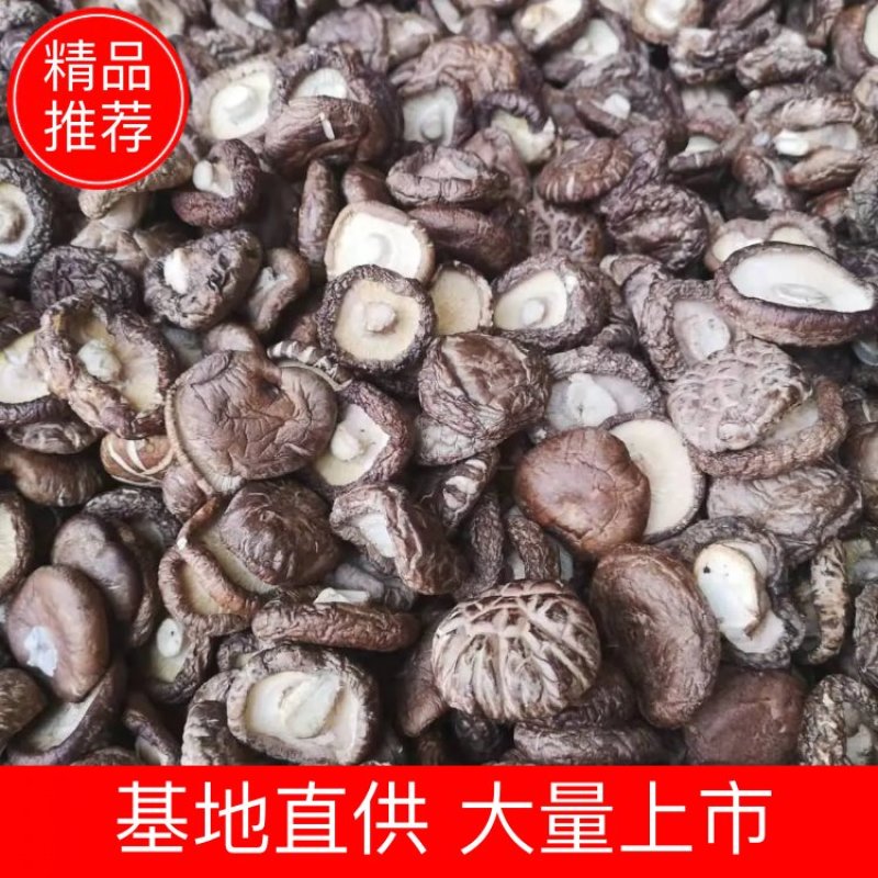 干香菇春栽冬菇，肉质厚实产地直销，常年有货，大量上市