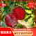 杏树苗德国引进，果实外皮黑色，果肉红色杂交杏新品种