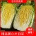 湖北精品黄心大白菜，大型基地，现砍现装，保质保量