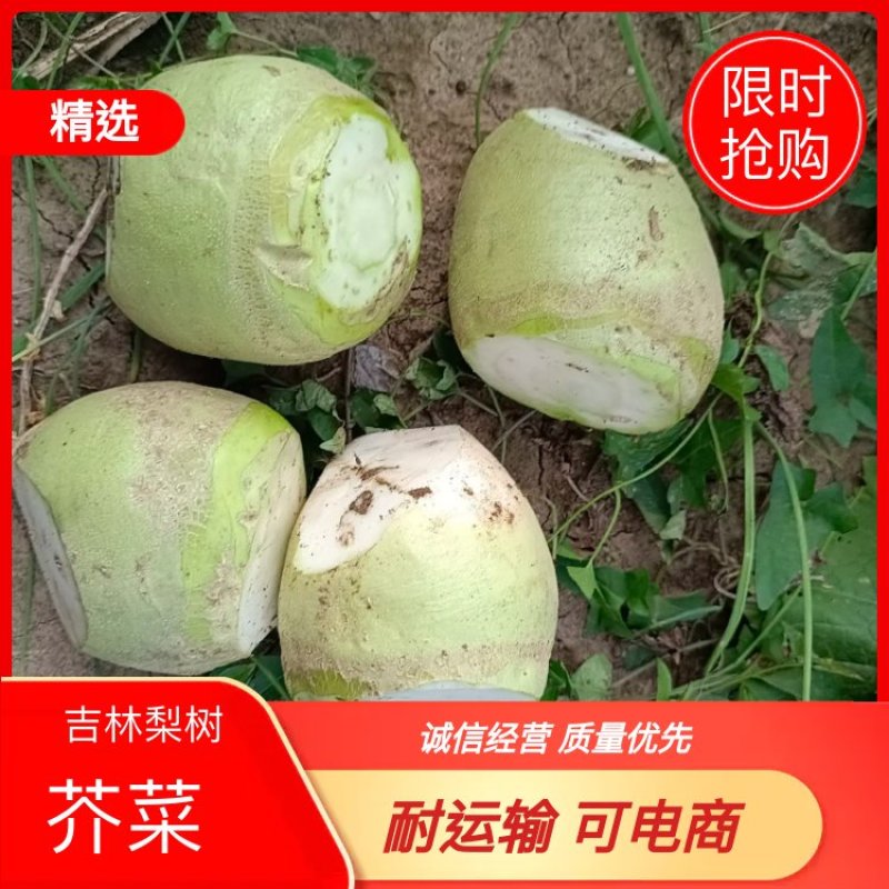 吉林省梨树县，芥菜，大量上市产地直发一手货源就说在一亩田
