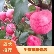 红富士苹果80mm以上纸袋